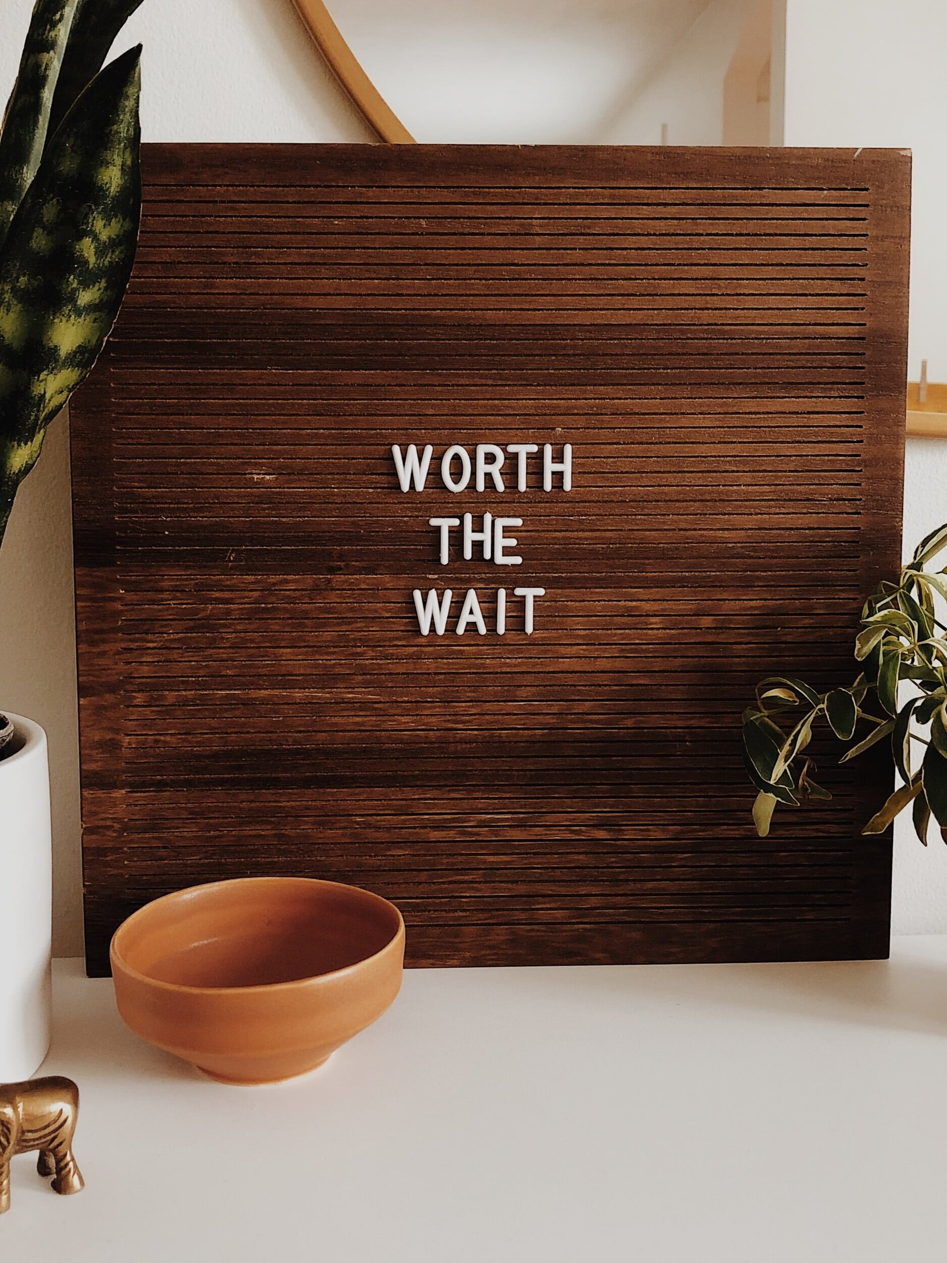 A wooden board with the phrase "Worth the Wait" in white letters. It's placed on a shelf alongside a small terracotta bowl, a leafy plant, and an elephant figurine. A mirror is partially visible in the background.
