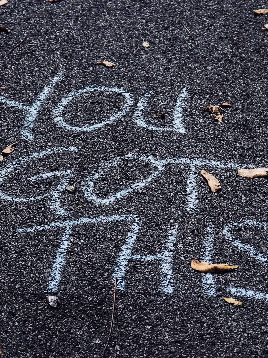 Chalk writing on pavement reads "You Got This" with scattered fallen leaves around it.