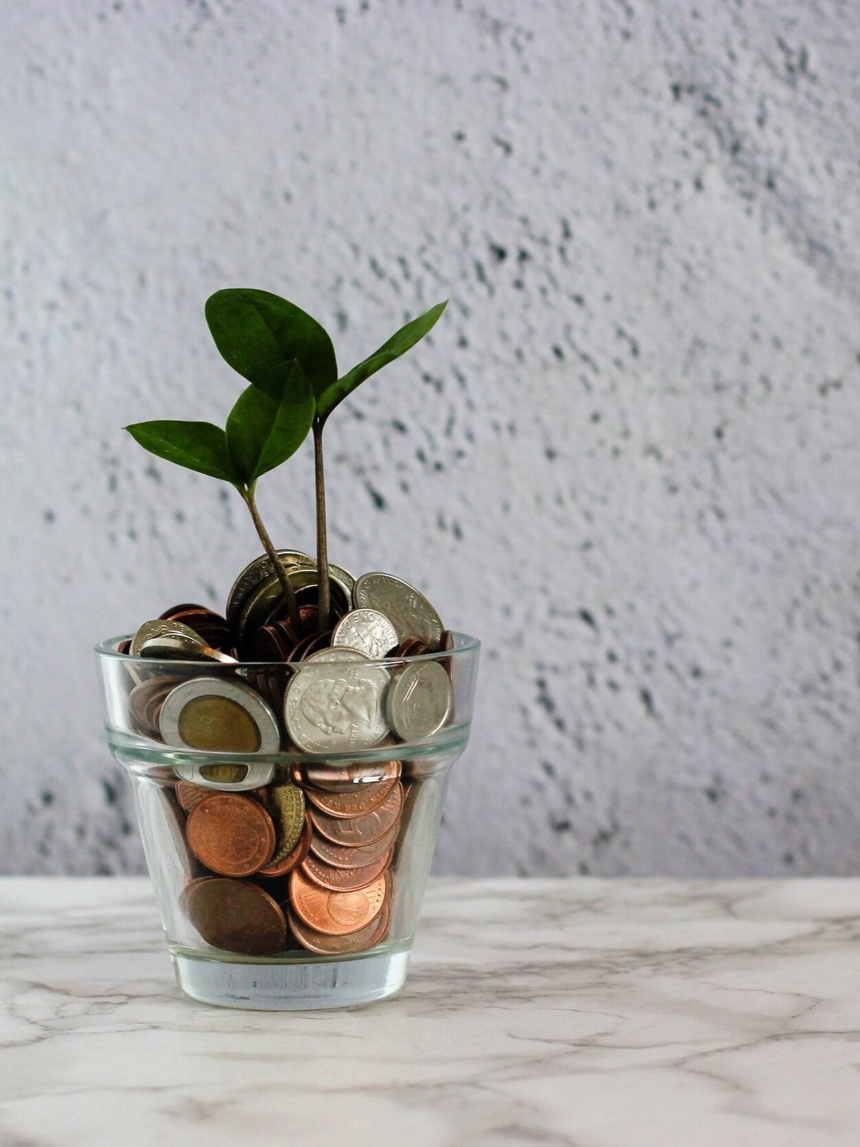 A small glass pot filled with assorted coins, featuring two green leaves sprouting from the top, sits on a marble surface against a textured gray wall background.