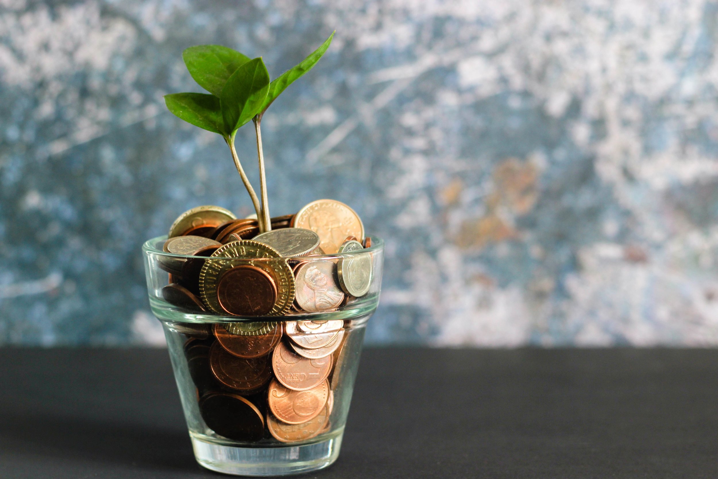 A small plant grows out of a clear glass filled with assorted coins, set against a textured gray and blue background. The image symbolizes financial growth and investment.