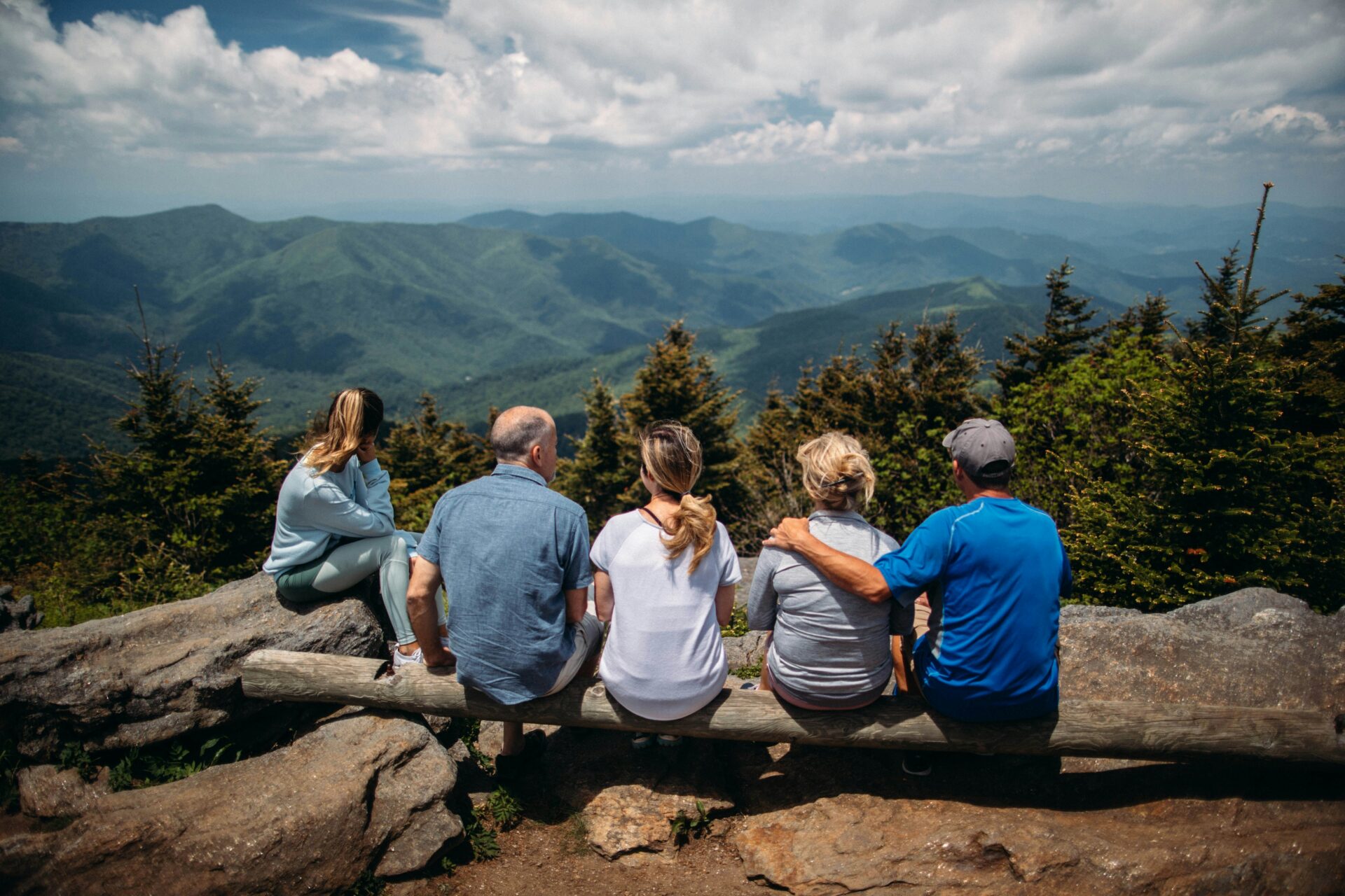 Five people sit on a log, backs to the camera, overlooking a scenic mountain landscape with green hills, trees, and a partly cloudy sky.